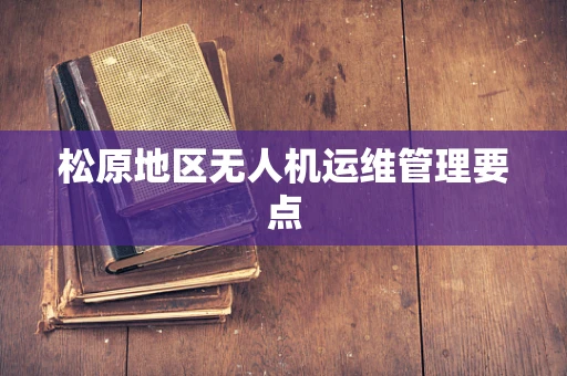 松原地区无人机运维管理要点