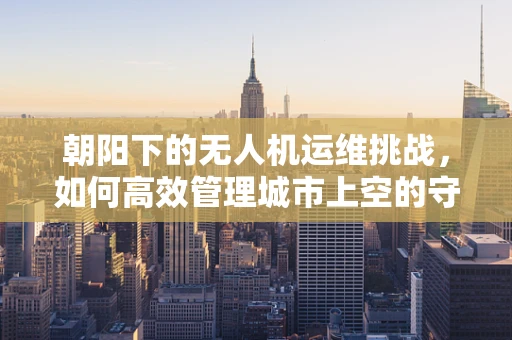 朝阳下的无人机运维挑战，如何高效管理城市上空的守护者？