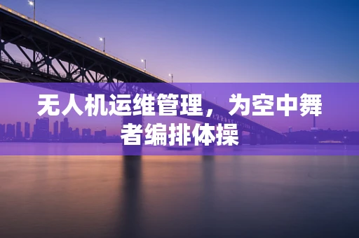 无人机运维管理，为空中舞者编排体操