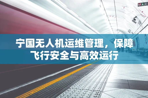 宁国无人机运维管理，保障飞行安全与高效运行