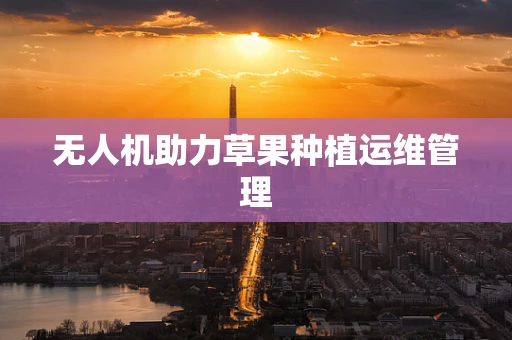 无人机助力草果种植运维管理