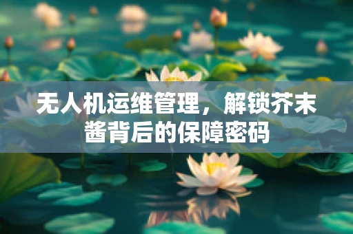 无人机运维管理，解锁芥末酱背后的保障密码