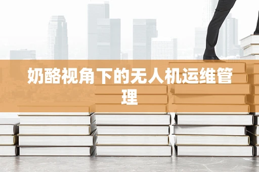 奶酪视角下的无人机运维管理