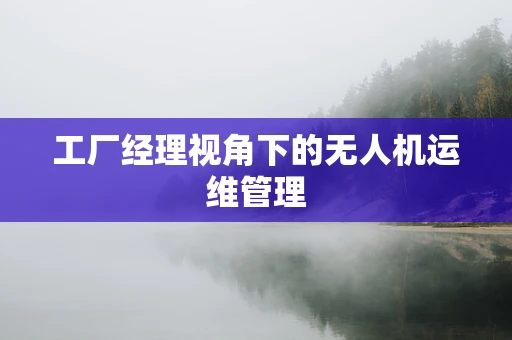 工厂经理视角下的无人机运维管理