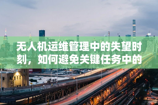无人机运维管理中的失望时刻，如何避免关键任务中的技术故障？