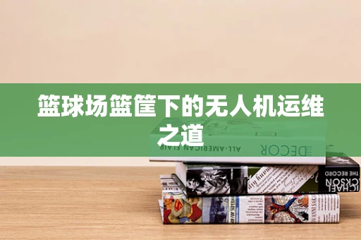 篮球场篮筐下的无人机运维之道