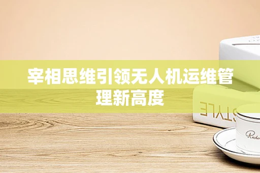 宰相思维引领无人机运维管理新高度
