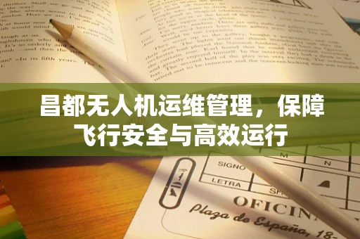 昌都无人机运维管理，保障飞行安全与高效运行