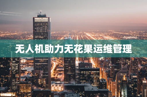 无人机助力无花果运维管理
