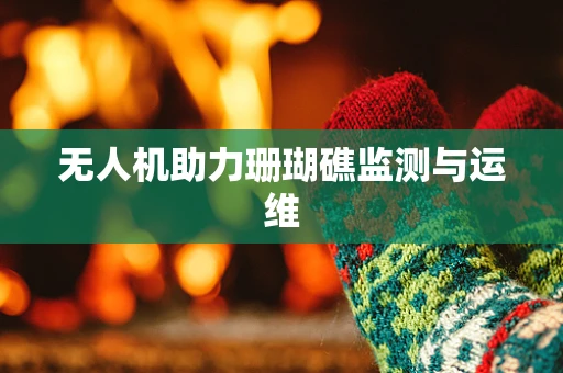 无人机助力珊瑚礁监测与运维