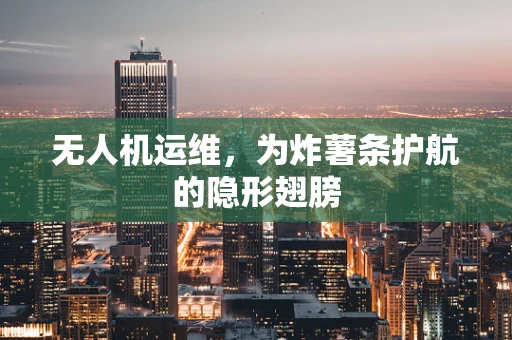 无人机运维，为炸薯条护航的隐形翅膀