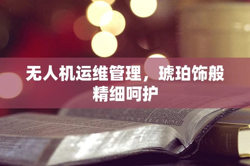无人机运维管理，琥珀饰般精细呵护