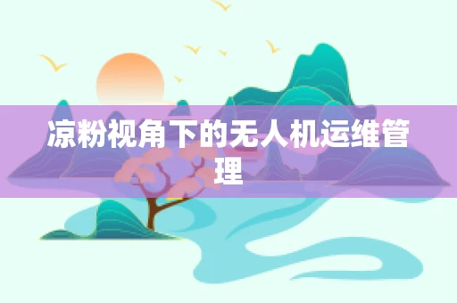 凉粉视角下的无人机运维管理