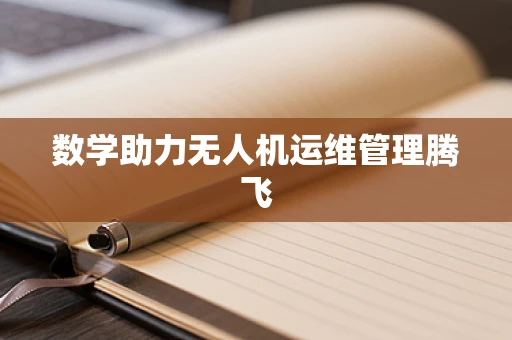 数学助力无人机运维管理腾飞