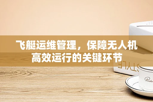 飞艇运维管理，保障无人机高效运行的关键环节