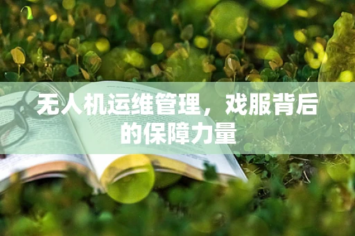 无人机运维管理，戏服背后的保障力量