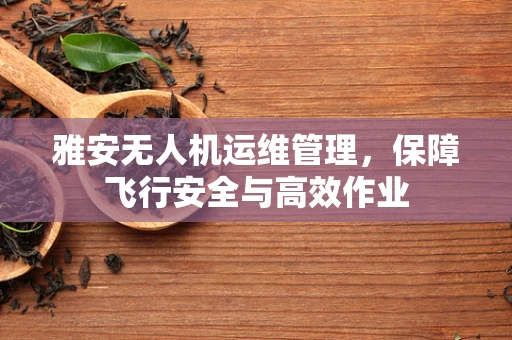 雅安无人机运维管理，保障飞行安全与高效作业