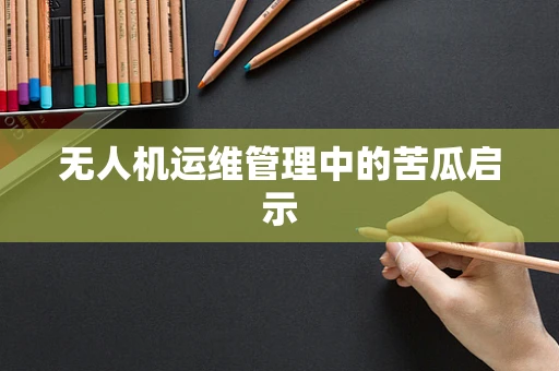 无人机运维管理中的苦瓜启示