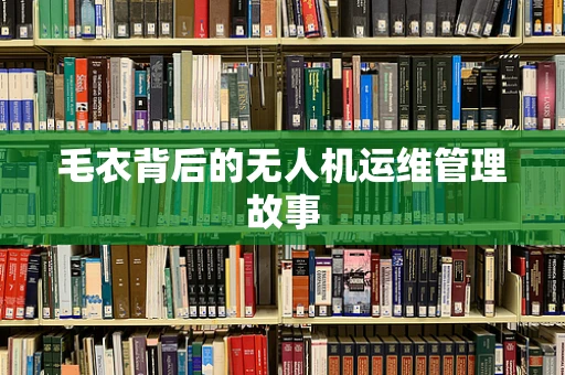 毛衣背后的无人机运维管理故事