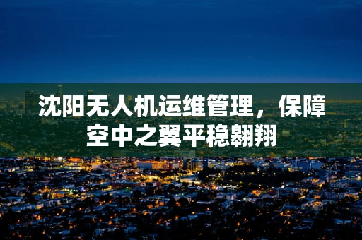 沈阳无人机运维管理，保障空中之翼平稳翱翔