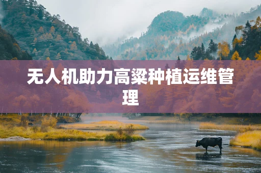 无人机助力高粱种植运维管理