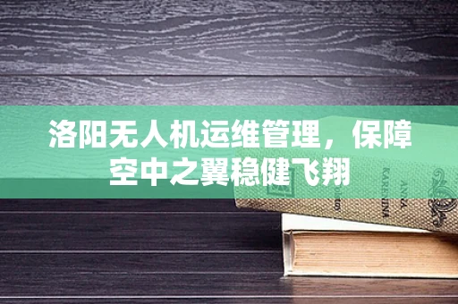 洛阳无人机运维管理，保障空中之翼稳健飞翔