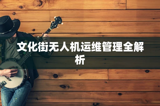文化街无人机运维管理全解析