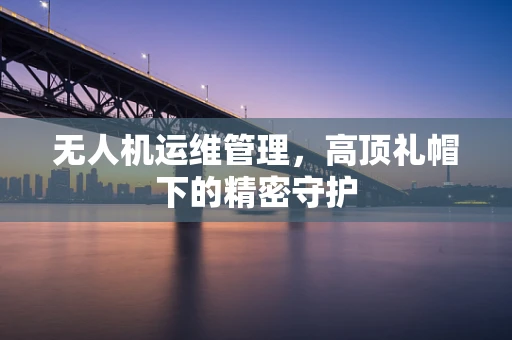 无人机运维管理，高顶礼帽下的精密守护