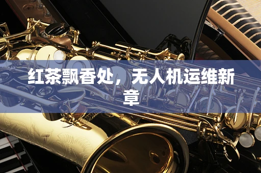 红茶飘香处，无人机运维新章