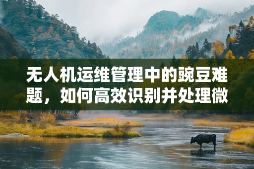 无人机运维管理中的豌豆难题，如何高效识别并处理微小障碍物？
