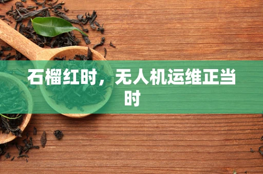 石榴红时，无人机运维正当时