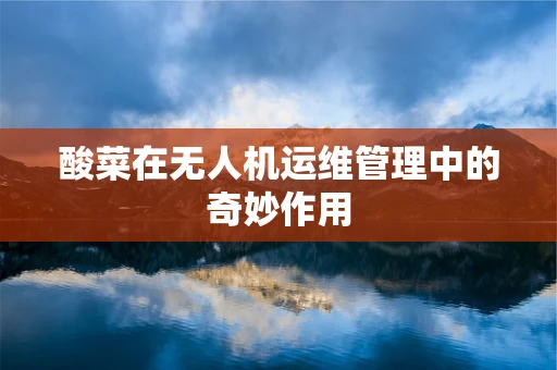 酸菜在无人机运维管理中的奇妙作用