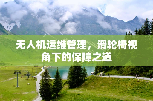 无人机运维管理，滑轮椅视角下的保障之道