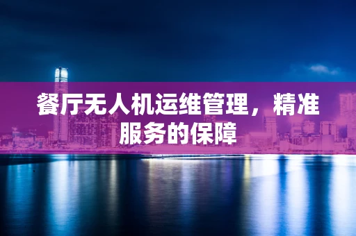 餐厅无人机运维管理，精准服务的保障