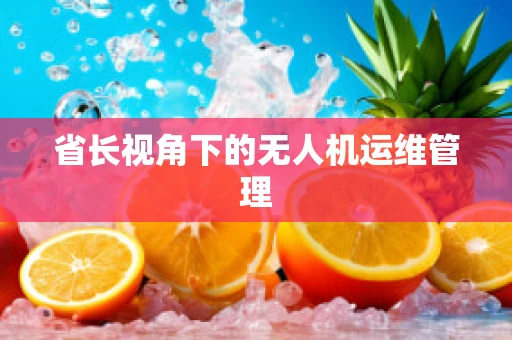 省长视角下的无人机运维管理