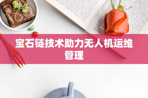 宝石链技术助力无人机运维管理