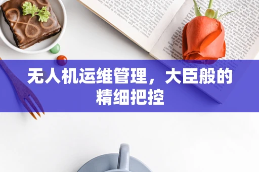 无人机运维管理，大臣般的精细把控