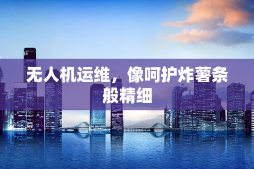 无人机运维，像呵护炸薯条般精细