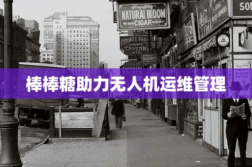棒棒糖助力无人机运维管理