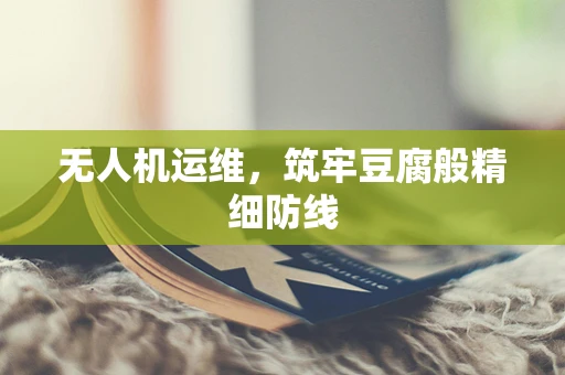 无人机运维，筑牢豆腐般精细防线