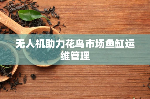 无人机助力花鸟市场鱼缸运维管理