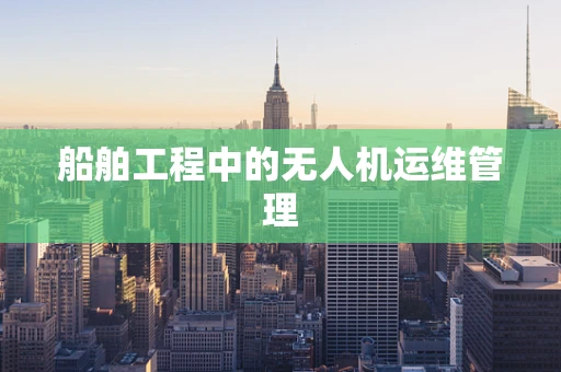 船舶工程中的无人机运维管理