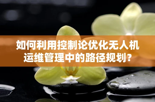 如何利用控制论优化无人机运维管理中的路径规划？