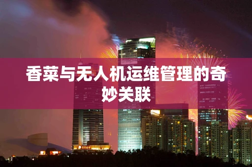 香菜与无人机运维管理的奇妙关联