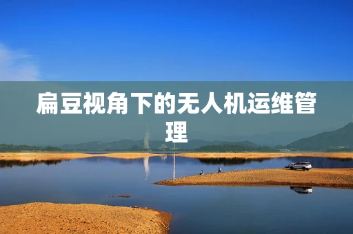 扁豆视角下的无人机运维管理