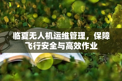 临夏无人机运维管理，保障飞行安全与高效作业