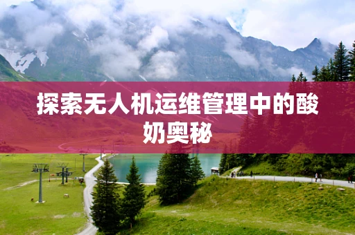 探索无人机运维管理中的酸奶奥秘