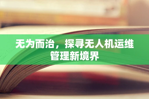 无为而治，探寻无人机运维管理新境界