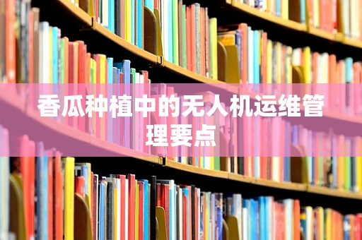 香瓜种植中的无人机运维管理要点