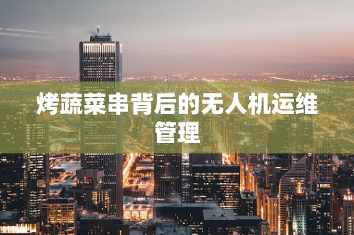 烤蔬菜串背后的无人机运维管理